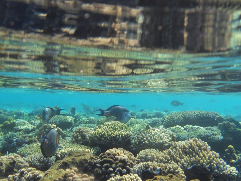 Sharm El-Sheikh