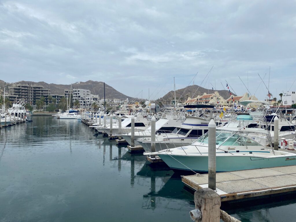 Marina Cabo San Lucas